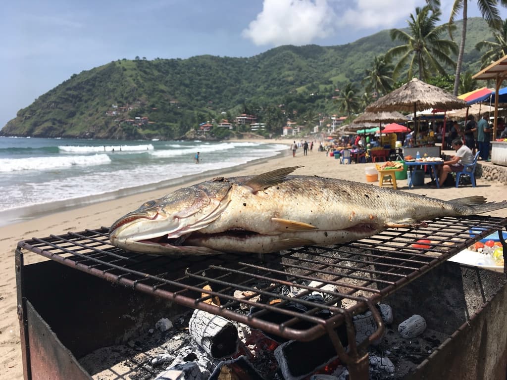 Pescado fillet on metal grill over coals, Mercado Benito Juárez