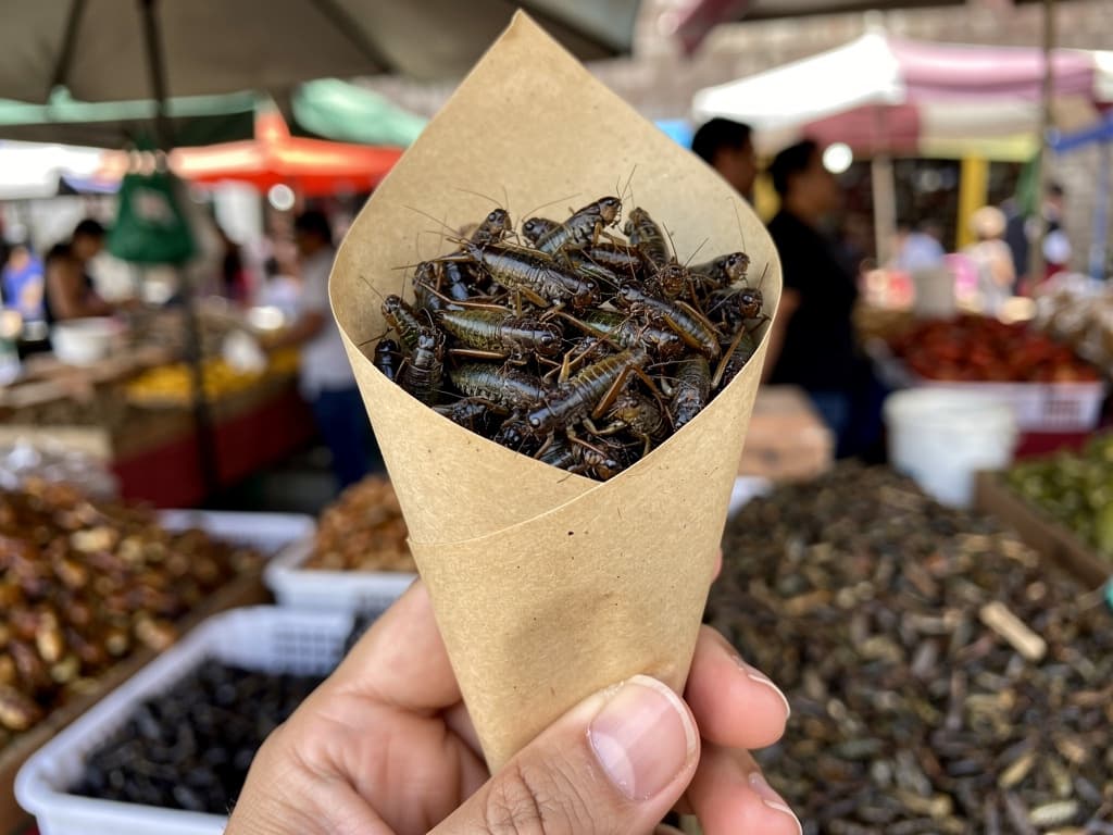 Paper cone of chapulines, small and dark, held against the light of the market